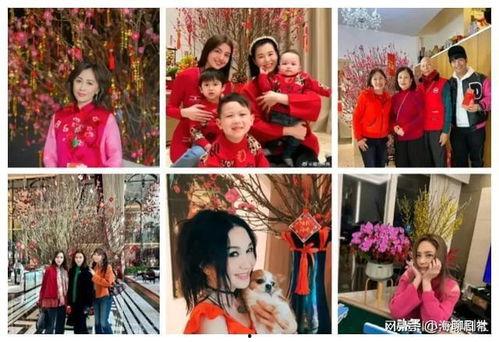 娱乐圈吃瓜爆料游戏,吃瓜爆料游戏背后的真相大起底