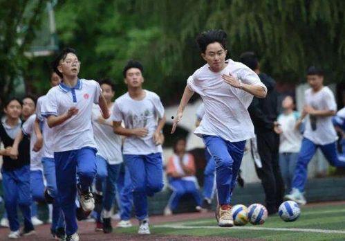 娱乐吃瓜高考体育,娱乐吃瓜背后的青春竞技